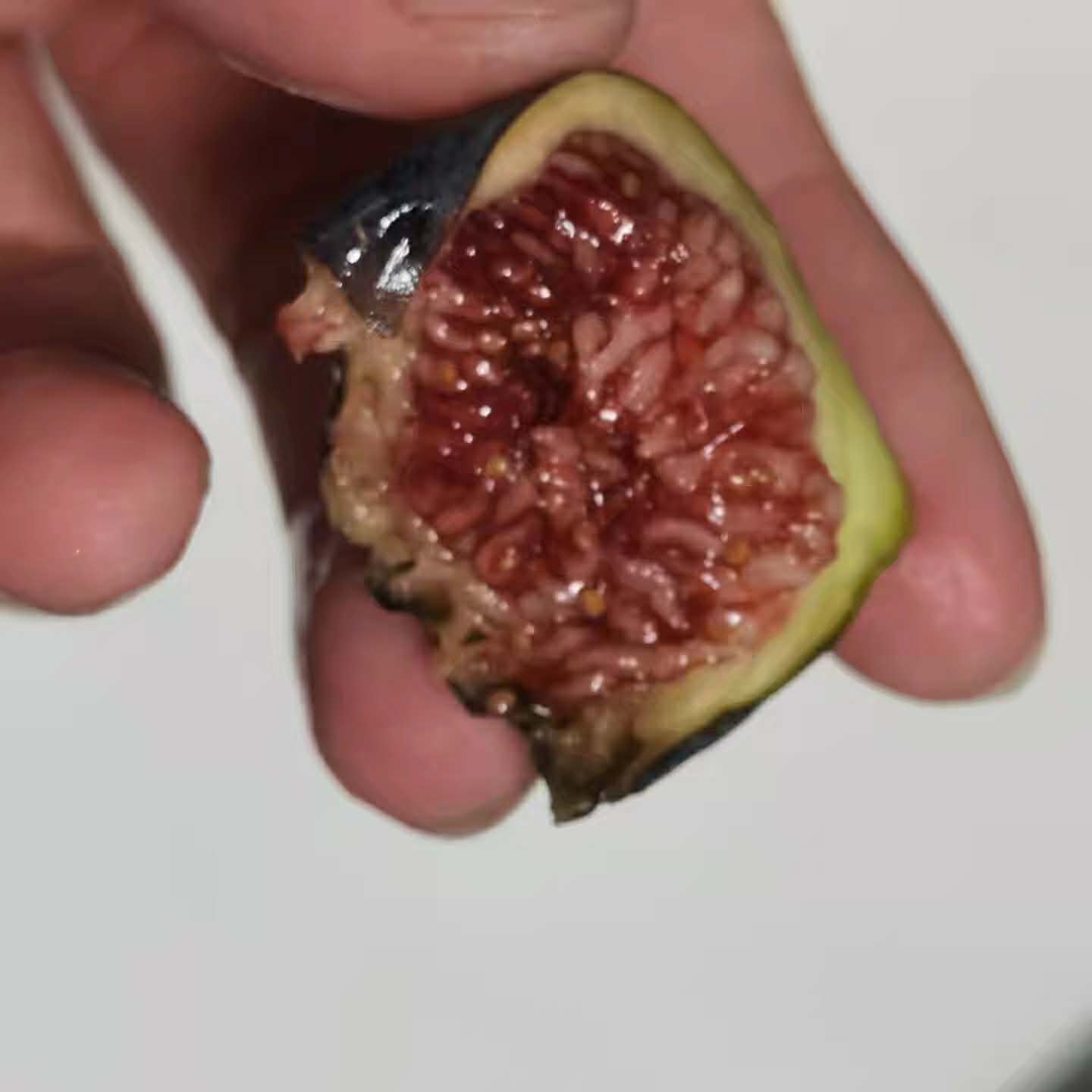 小果迷-种植爱好者交流互动平台