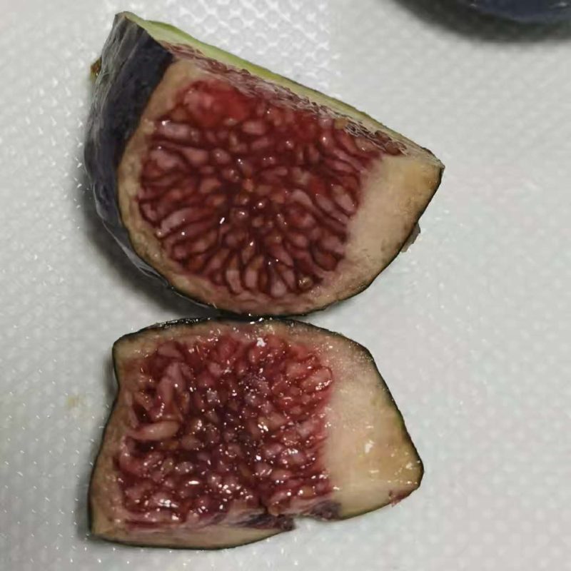 小果迷-种植爱好者交流互动平台