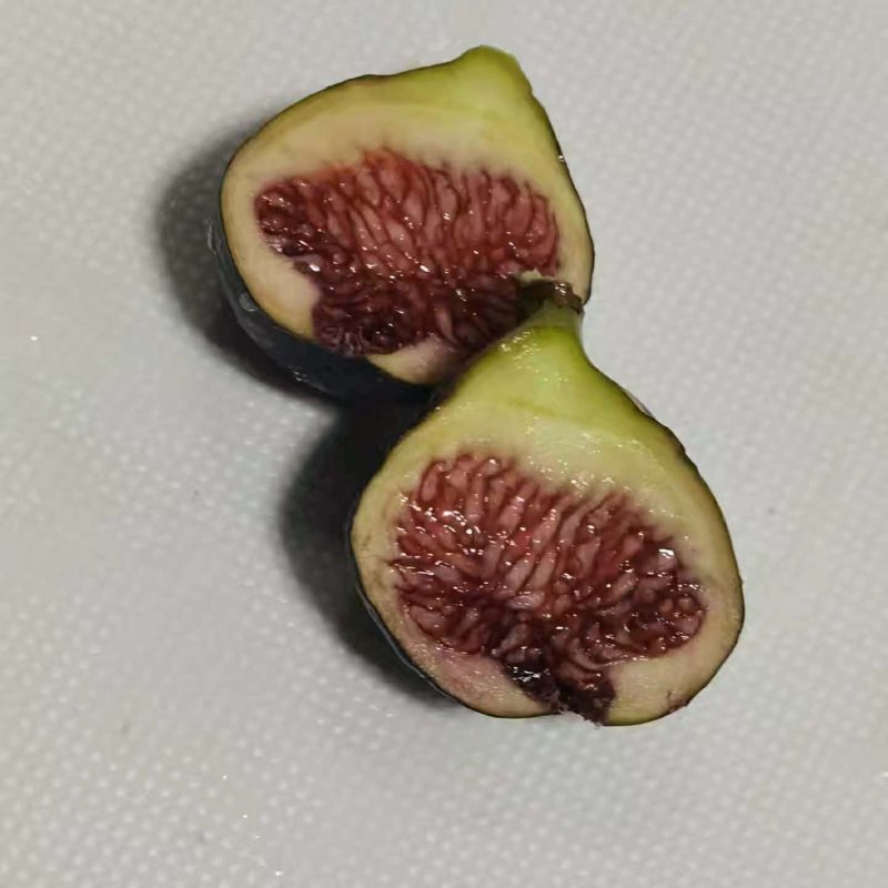 小果迷-种植爱好者交流互动平台