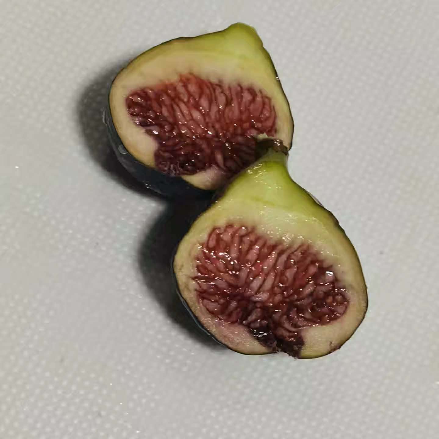 小果迷-种植爱好者交流互动平台