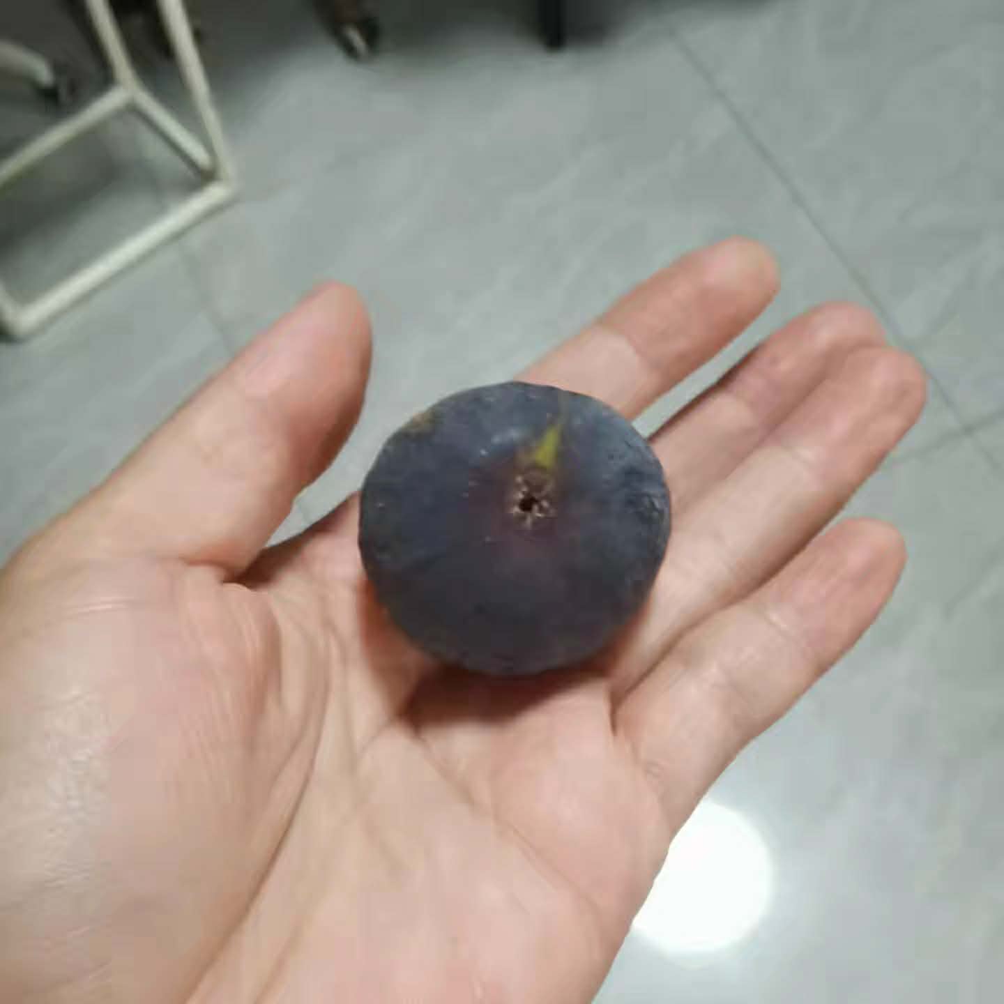 小果迷-种植爱好者交流互动平台