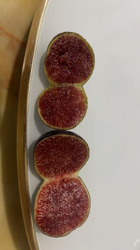 4.卡尔德罗纳 Calderona（图片来自木木田心）★推荐品种★-小果迷