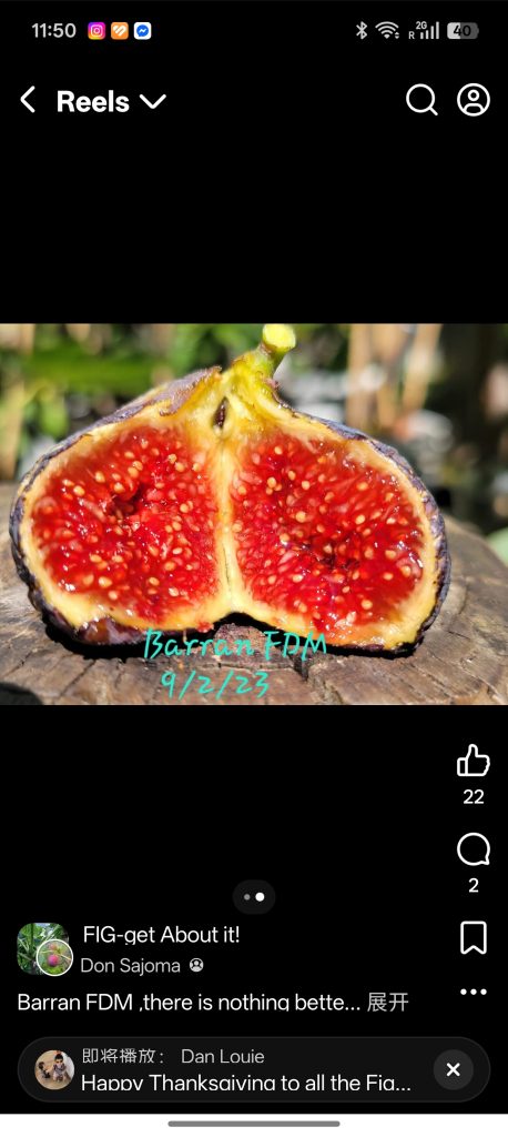 小果迷-种植爱好者交流互动平台