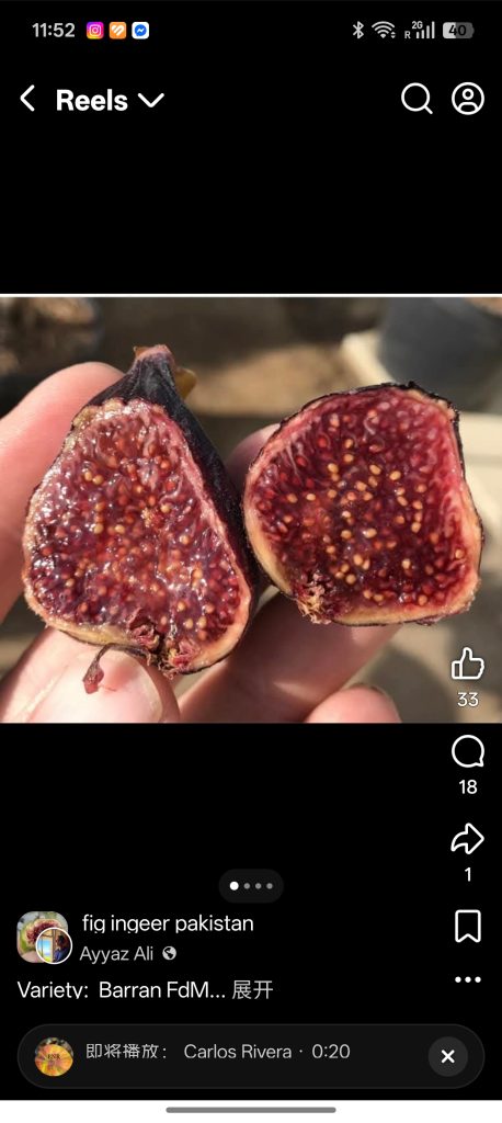 小果迷-种植爱好者交流互动平台