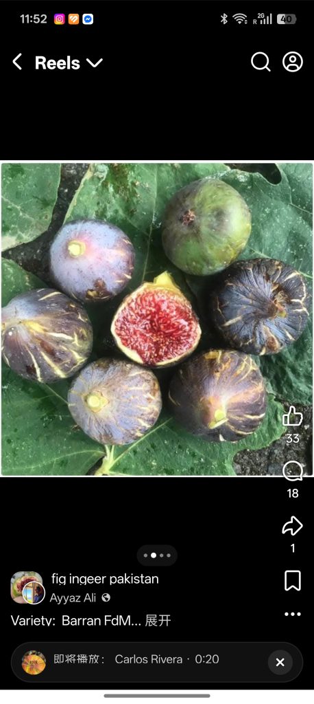 小果迷-种植爱好者交流互动平台