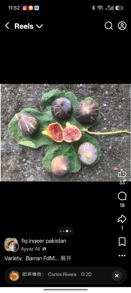 小果迷-种植爱好者交流互动平台