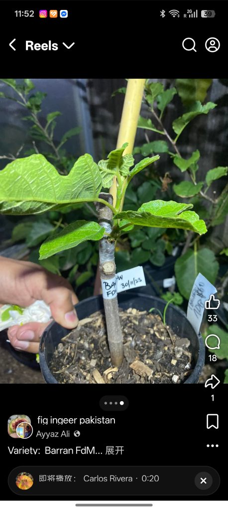 小果迷-种植爱好者交流互动平台