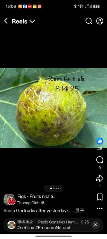 小果迷-种植爱好者交流互动平台