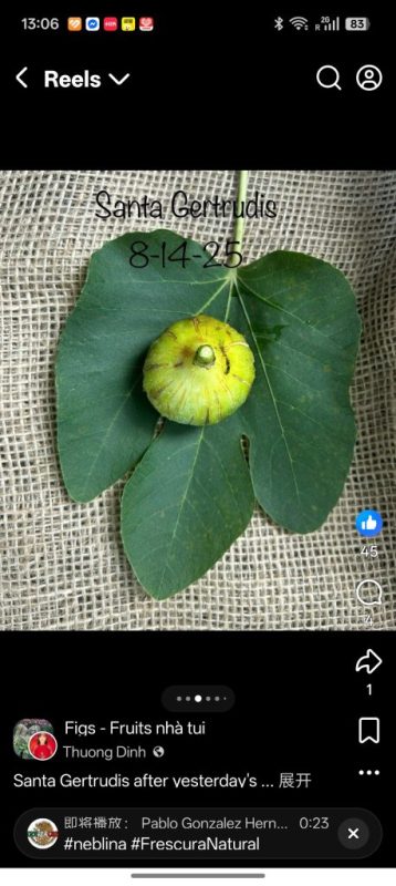 小果迷-种植爱好者交流互动平台