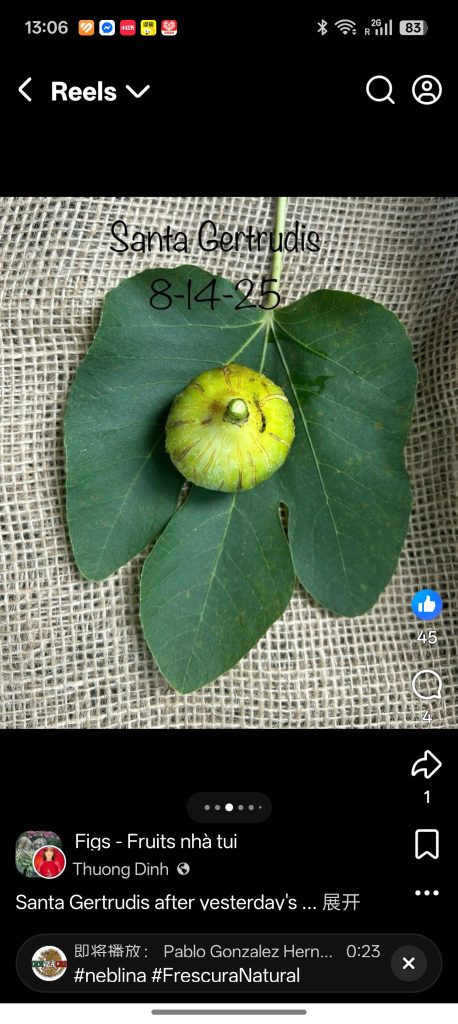 小果迷-种植爱好者交流互动平台