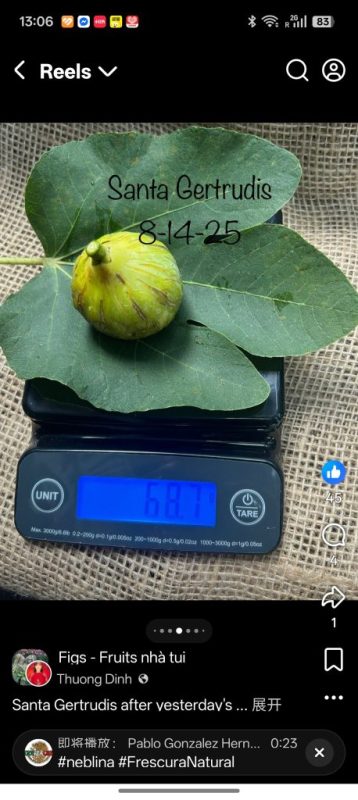 小果迷-种植爱好者交流互动平台