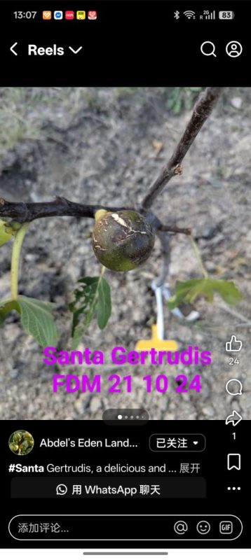 小果迷-种植爱好者交流互动平台