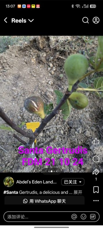 小果迷-种植爱好者交流互动平台