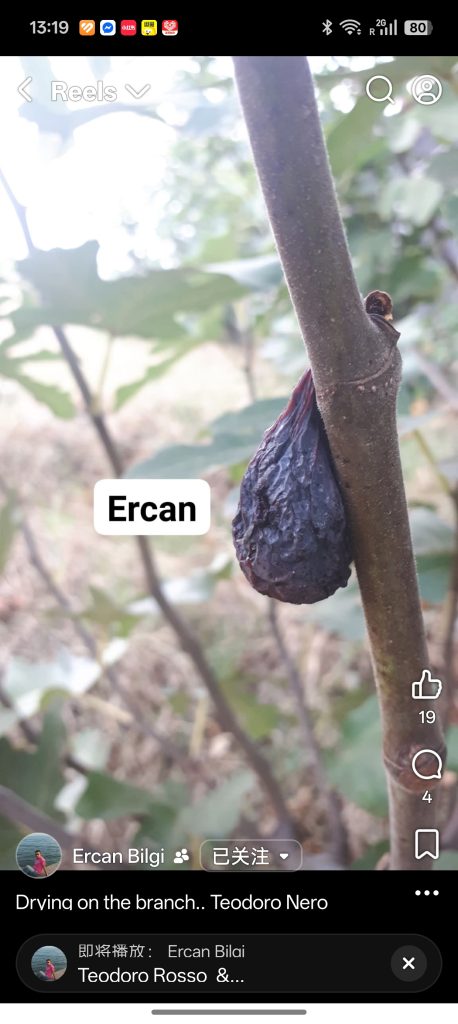 小果迷-种植爱好者交流互动平台