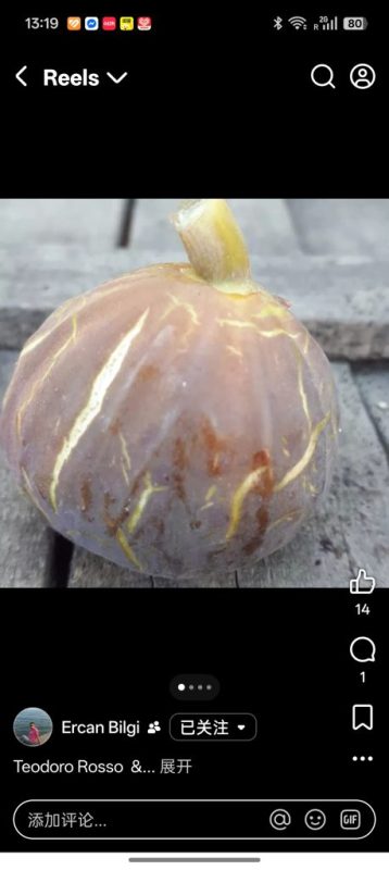 小果迷-种植爱好者交流互动平台