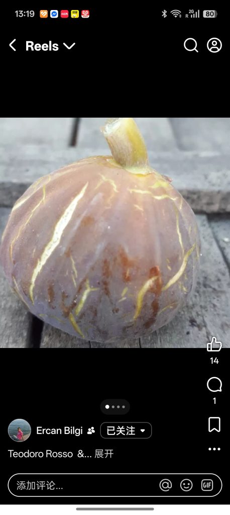 小果迷-种植爱好者交流互动平台