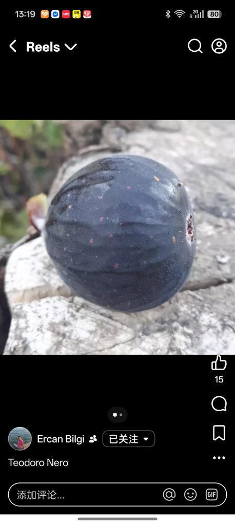 小果迷-种植爱好者交流互动平台