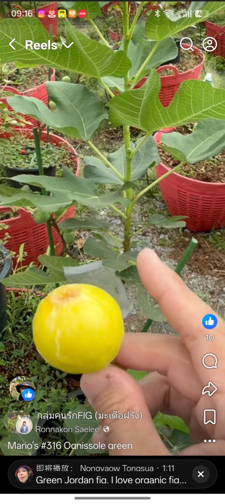 小果迷-种植爱好者交流互动平台