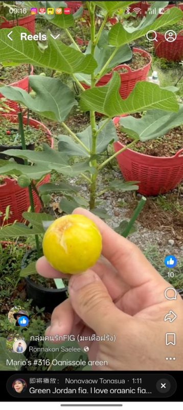 小果迷-种植爱好者交流互动平台