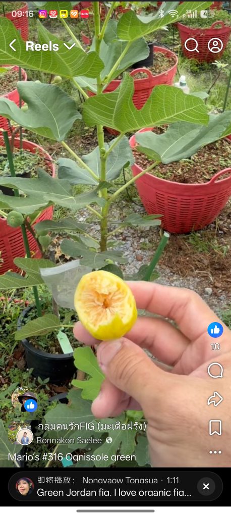 小果迷-种植爱好者交流互动平台