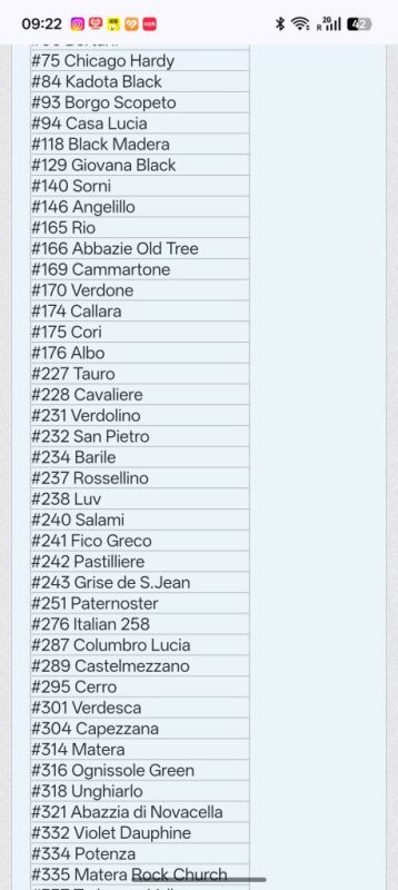 奥尼索莱绿色/马里奥#316 Ognissole Green/Mario’s#316(Tee)-小果迷