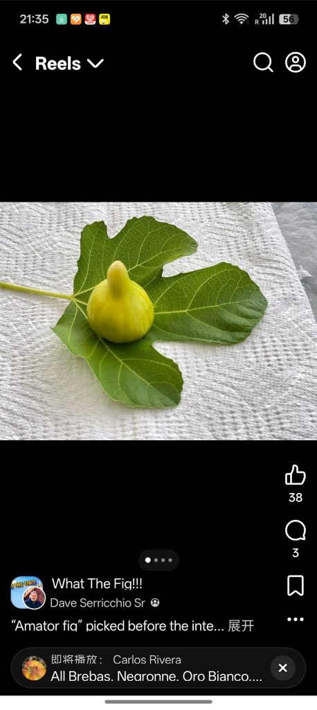 小果迷-种植爱好者交流互动平台