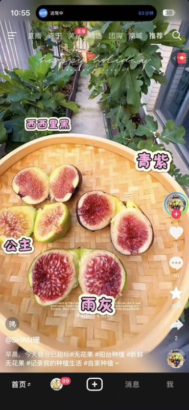 小果迷-种植爱好者交流互动平台