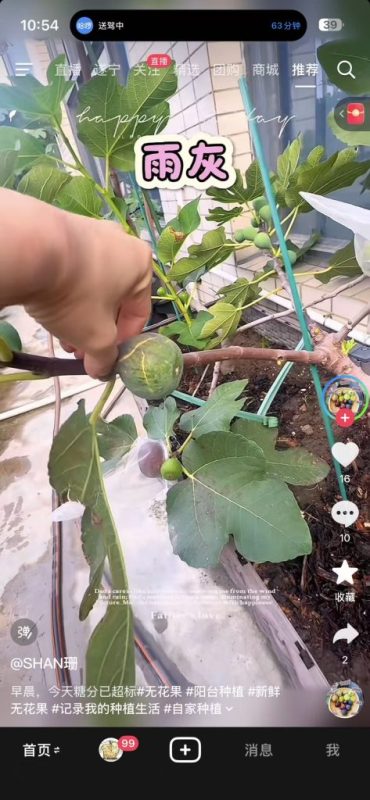 小果迷-种植爱好者交流互动平台