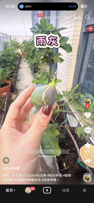 小果迷-种植爱好者交流互动平台