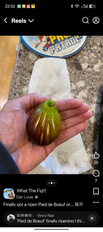 小果迷-种植爱好者交流互动平台