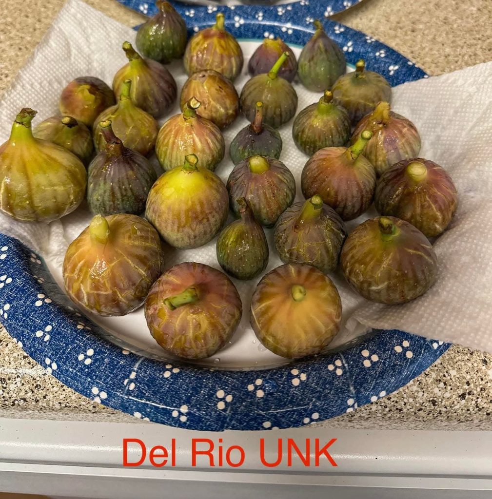 小果迷-种植爱好者交流互动平台