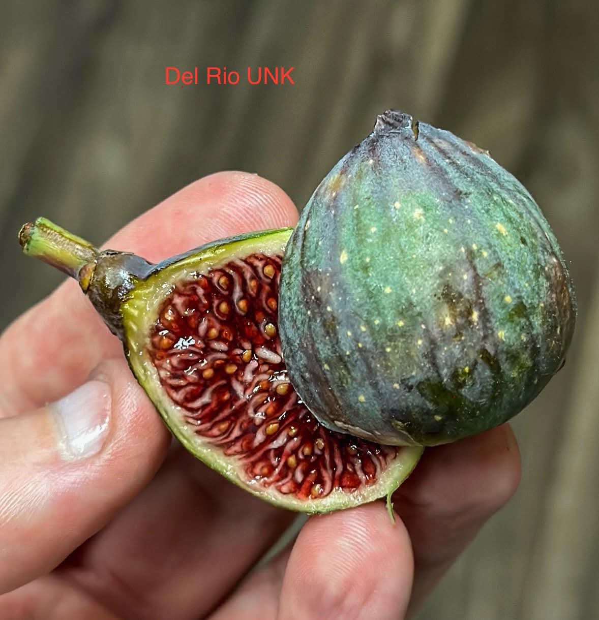 小果迷-种植爱好者交流互动平台