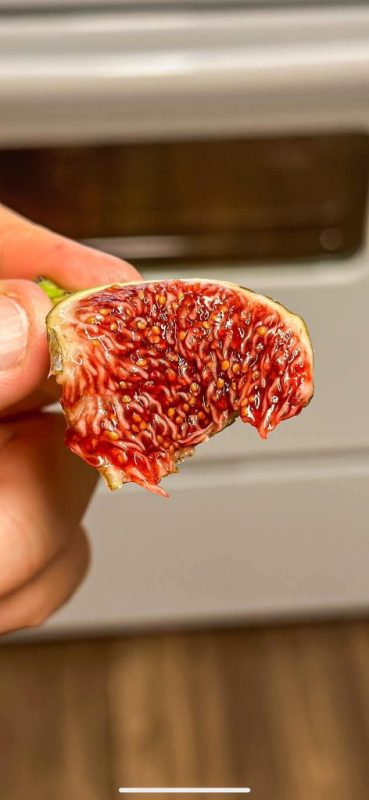 小果迷-种植爱好者交流互动平台