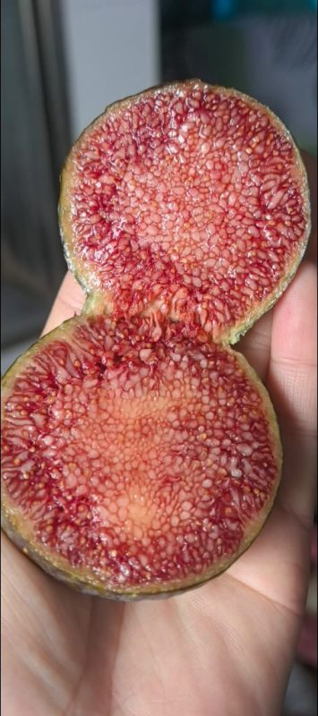 小果迷-种植爱好者交流互动平台