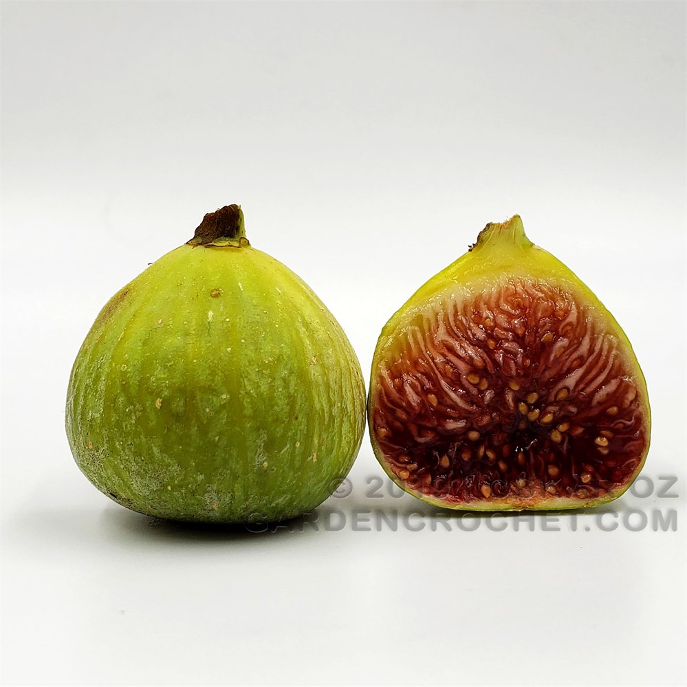 小果迷-种植爱好者交流互动平台