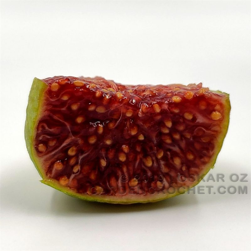 小果迷-种植爱好者交流互动平台