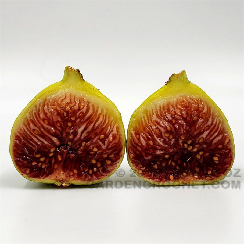 小果迷-种植爱好者交流互动平台