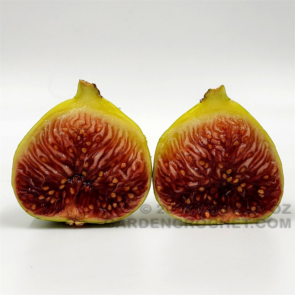 小果迷-种植爱好者交流互动平台