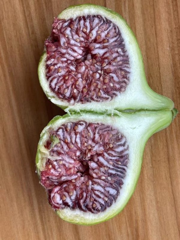 小果迷-种植爱好者交流互动平台