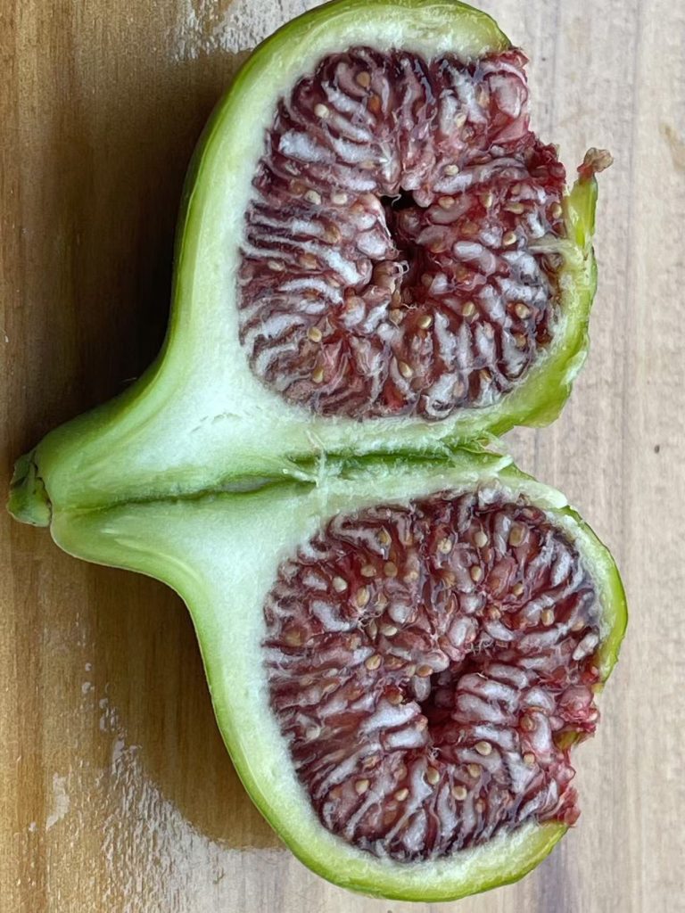 小果迷-种植爱好者交流互动平台