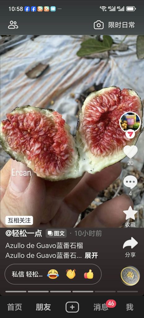 小果迷-种植爱好者交流互动平台