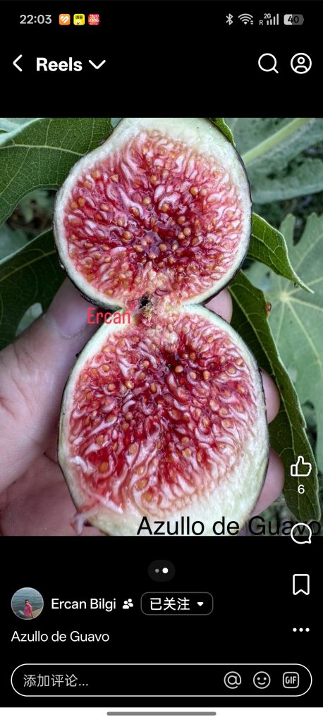 小果迷-种植爱好者交流互动平台