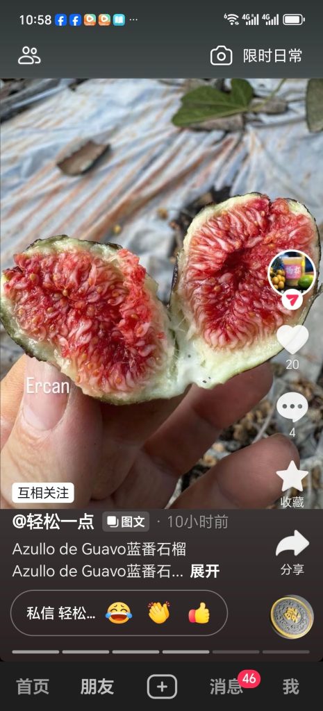 小果迷-种植爱好者交流互动平台