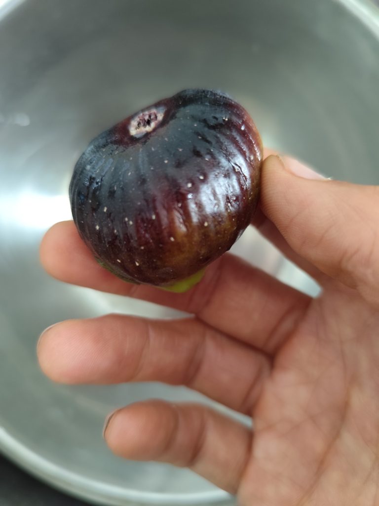 评论图片-小果迷