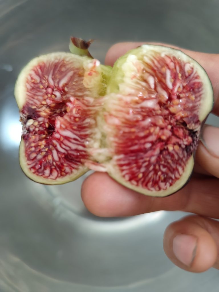 评论图片-小果迷