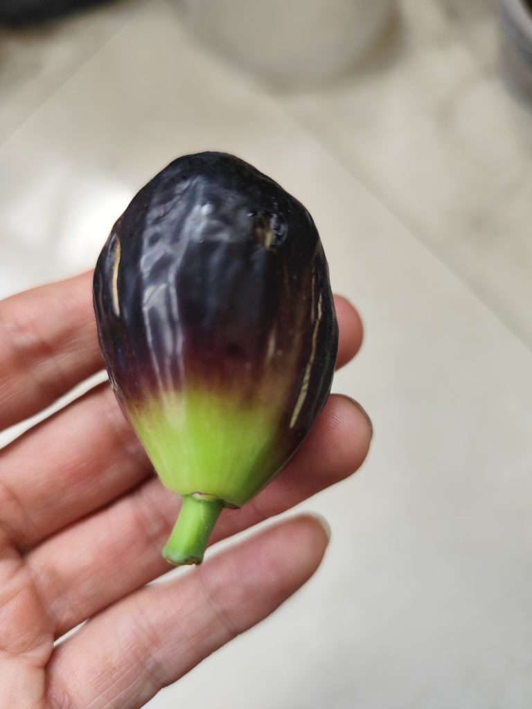 评论图片-小果迷