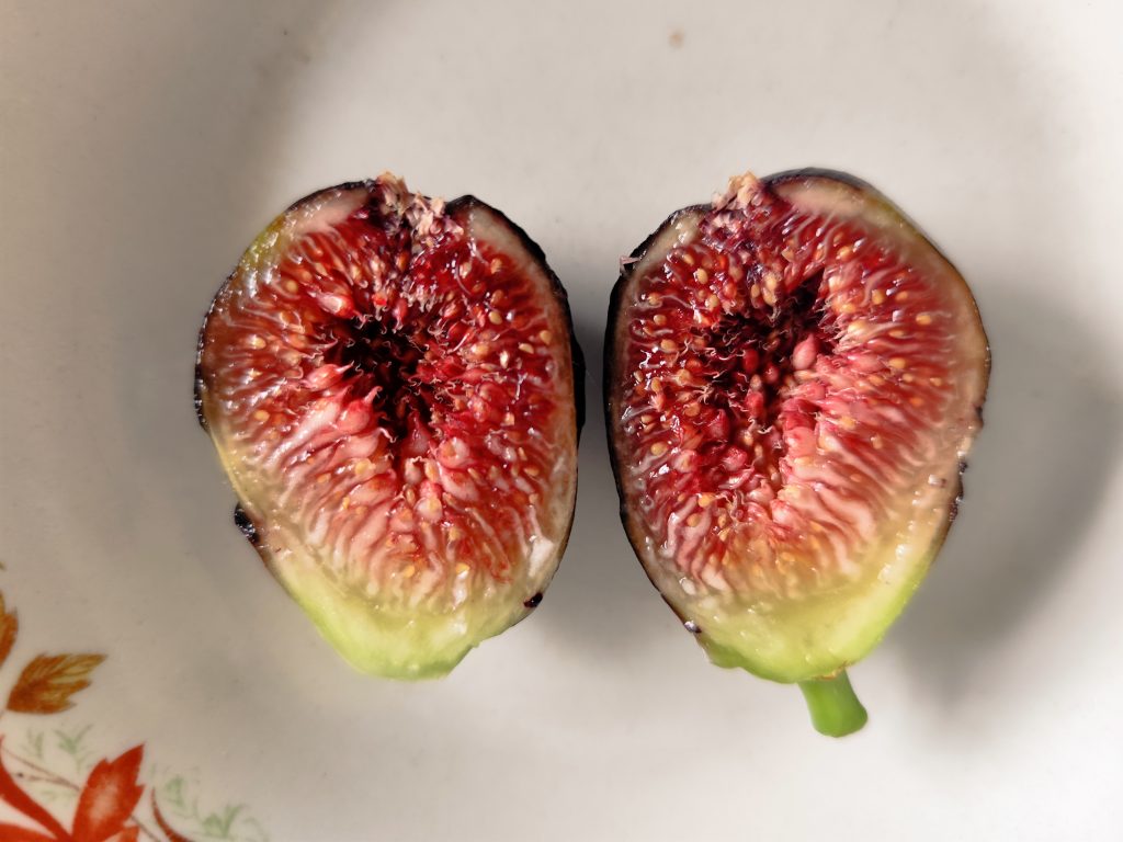 评论图片-小果迷