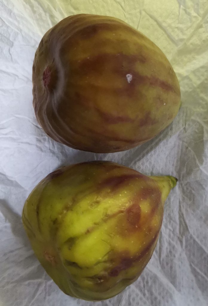 IMG_20260315_090048_edit_22542481051247