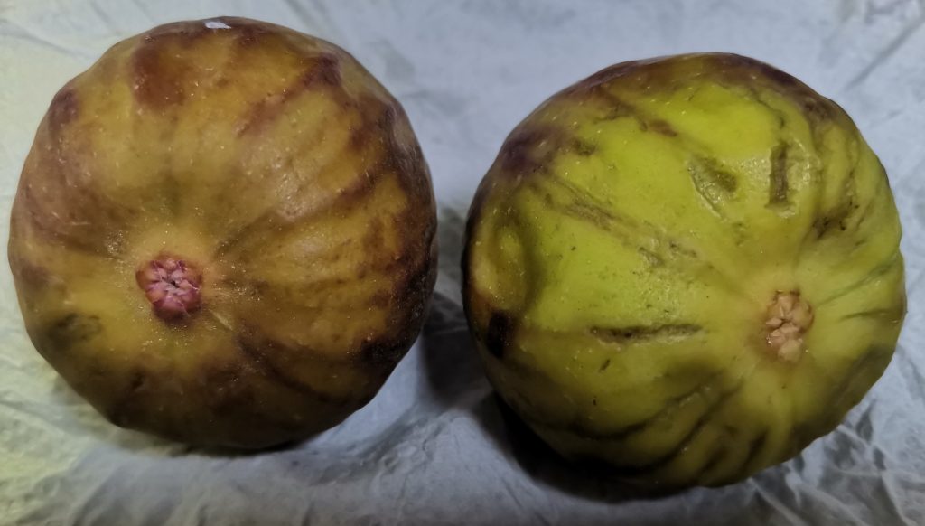 IMG_20260315_090058_edit_22534056869998