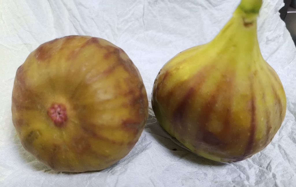 IMG_20260315_090131_edit_22522763679375